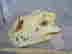 item-130855410=8