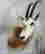 item-130855424=2