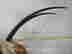 item-130855424=4