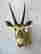 item-130855475=2