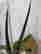 item-130855475=4