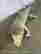 item-131356984=2