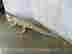 item-131356984=5