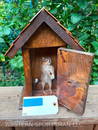 AWESOME, New, Chipmunk in Out house!! GREAT Oddity Taxidermy13" tall, 9" wide and 6" DEEP