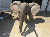 Real Skin Reproduction Tusk Elephant Sh Mt (US RES ONLY)  TAXIDERMY