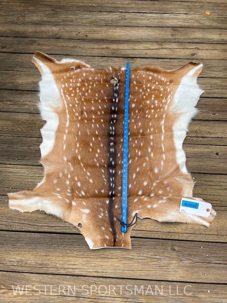 Beautiful soft tanned AXIS DEER hide , NEW Tan, 38 inches long x 35 inches wide great colors - Taxid (1 of 4)