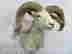 item-136663205=3