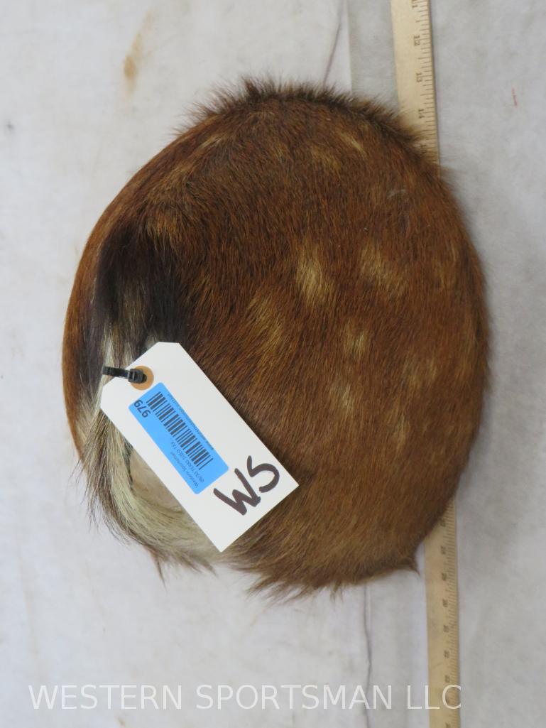 Axis Deer Butt TAXIDERMY: TAXIDERMY