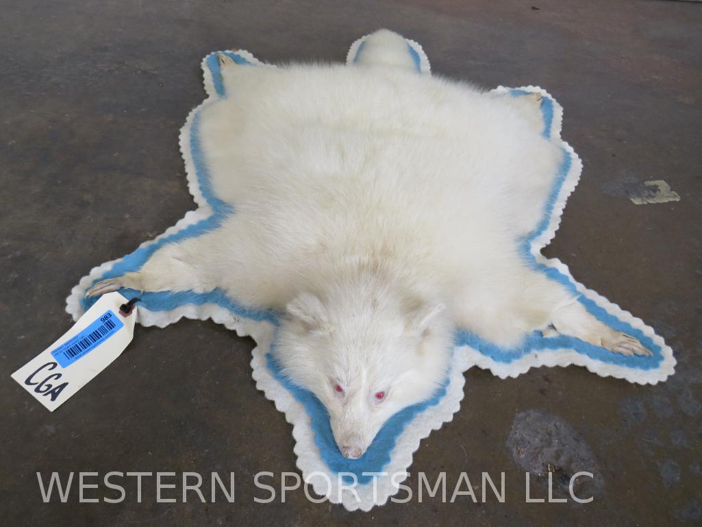 Felted Fischer Hide w/Mounted Head TAXIDERMY: TAXIDERMY