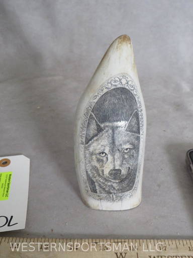 SCRIMSHAWED ORCA TOOTH TAXIDERMY (#0100D) on Jan 19, 2023 | Western