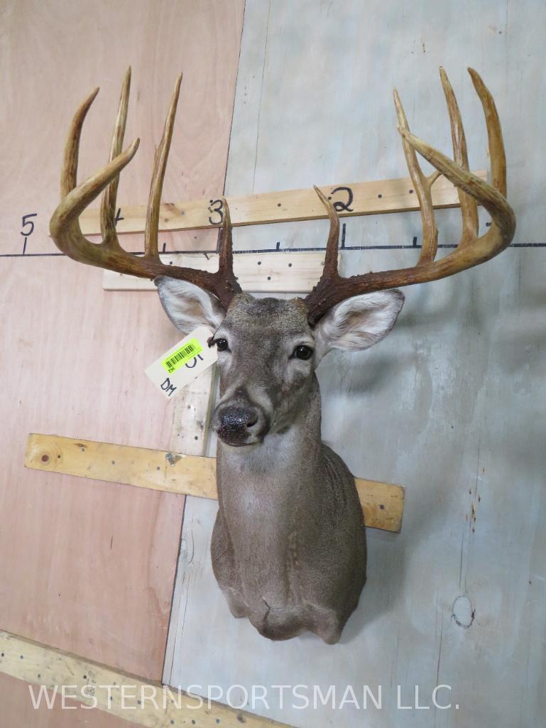 Whitetail Sh Mt (1 of 5)