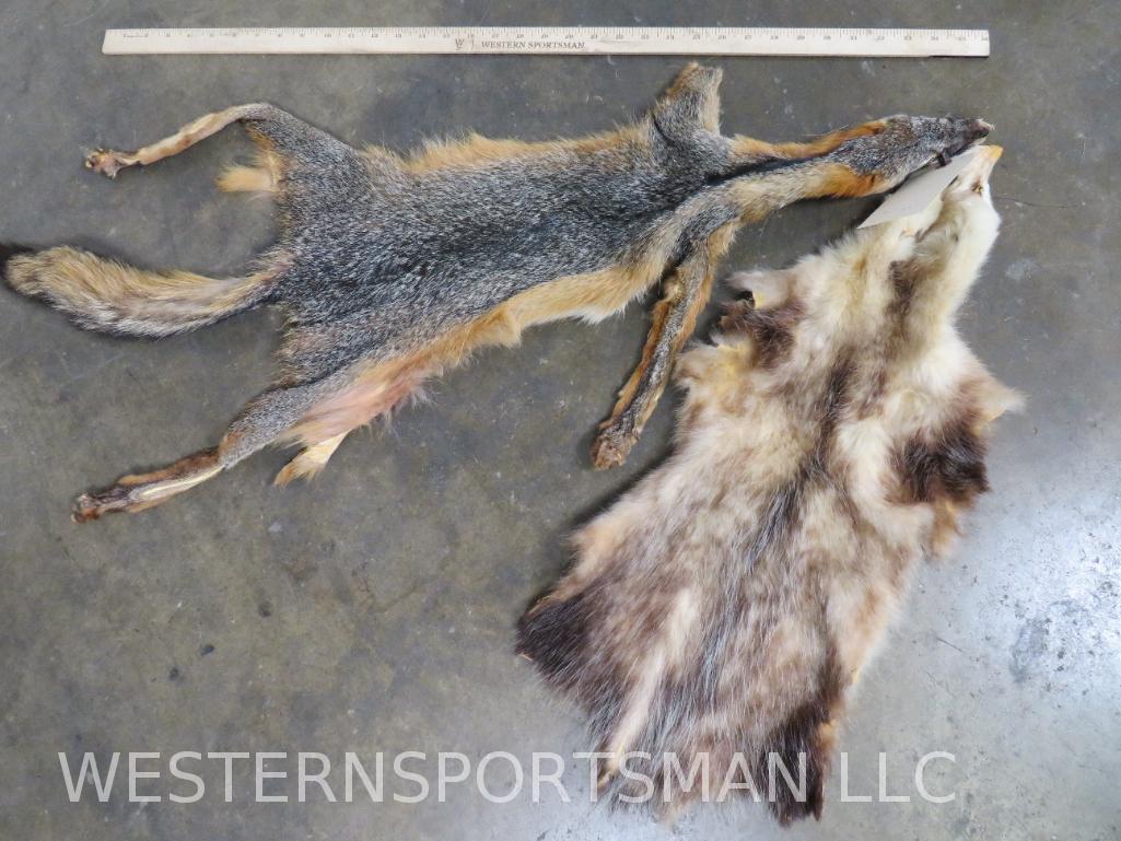2 Hides - Fox and Opossum (2x$) (1 of 3)
