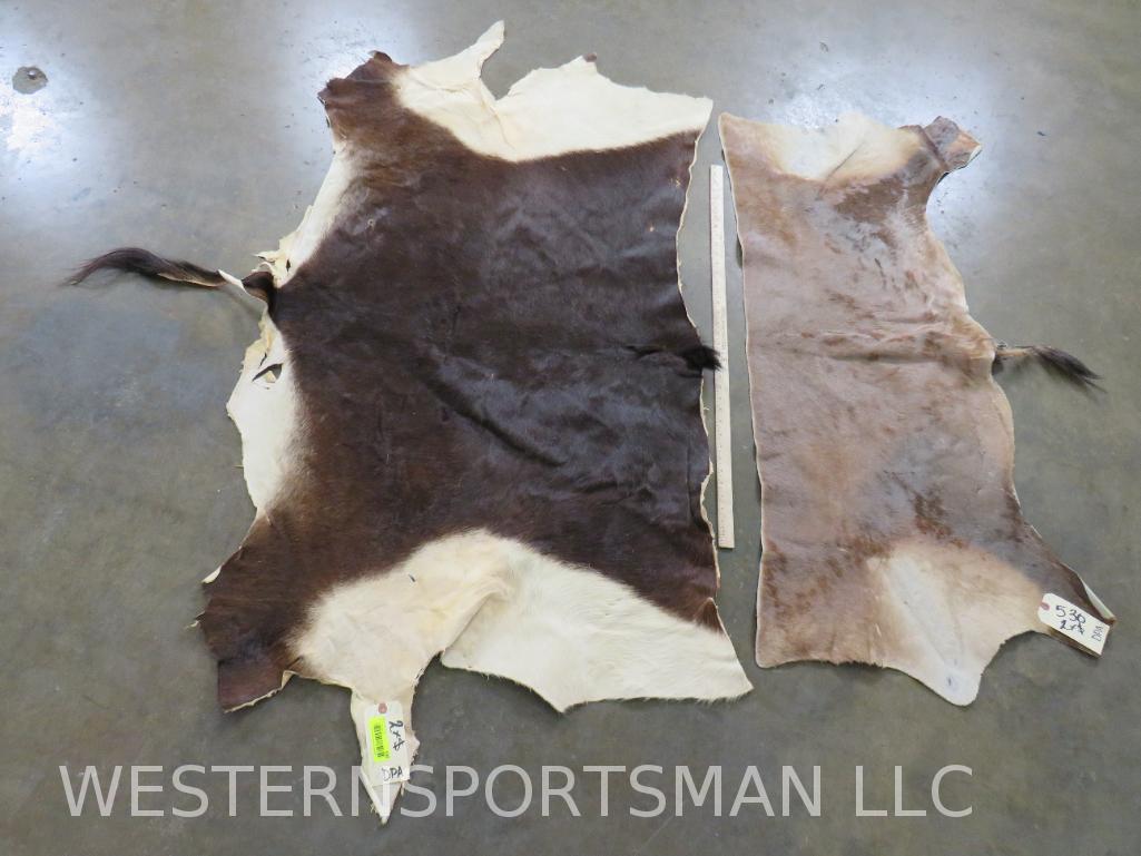 2 Back Hides (2x$) (1 of 4)