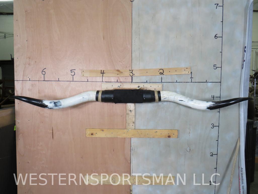 7' Mounted Steer Horns  TAXIDERMY (1 of 4)