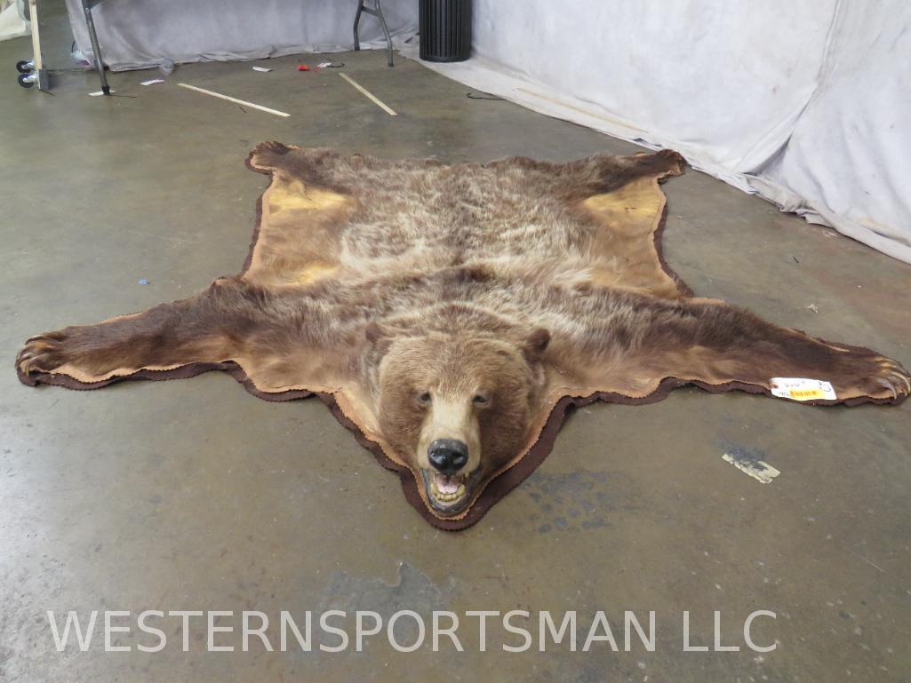 Older Felted Brown Bear Rug  TAXIDERMY (1 of 6)