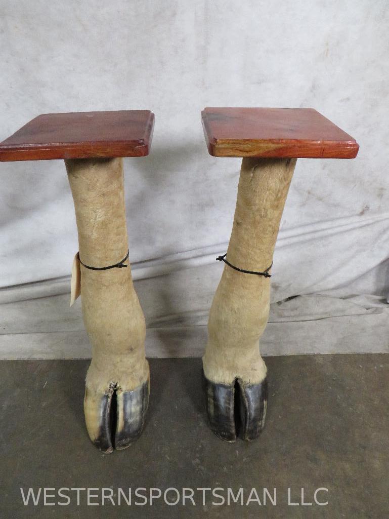 2 Giraffe Leg Tables (2x$)  TAXIDERMY (1 of 10)