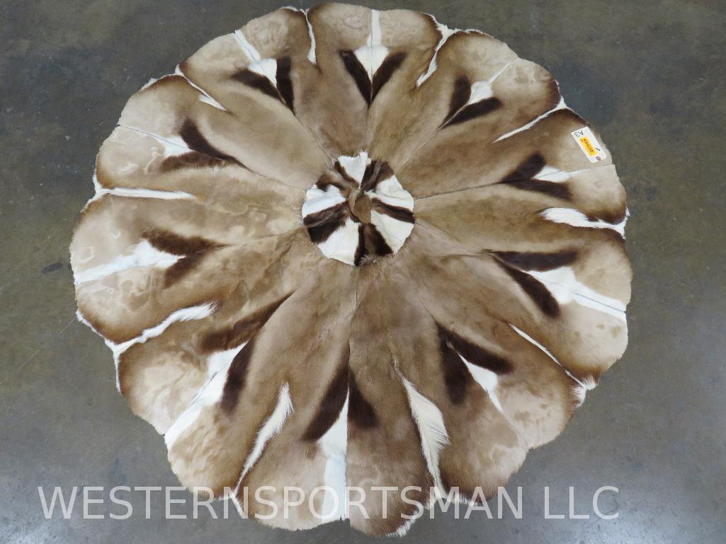Springbok Hide Patch Rug 64"D  TAXIDERMY (1 of 5)