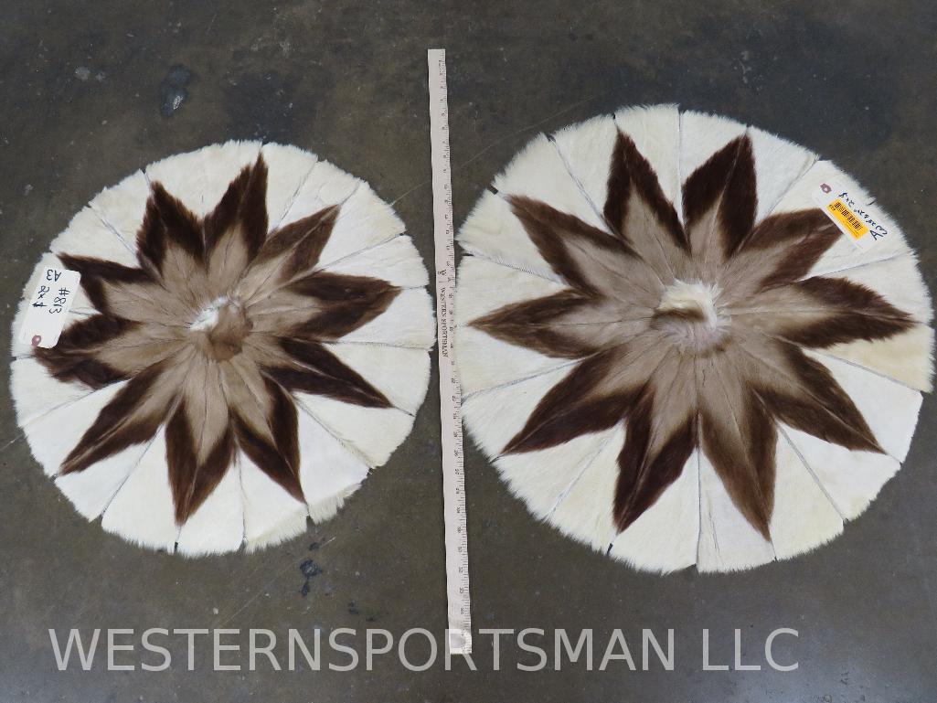 2 Springbok Hide Patch Rugs (2X$)  TAXIDERMY (1 of 4)