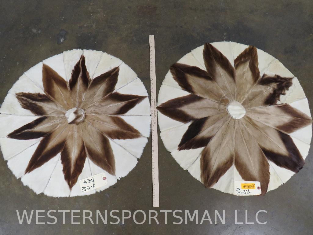 2 Springbok Hide Patch Rugs (2X$)  TAXIDERMY (1 of 4)