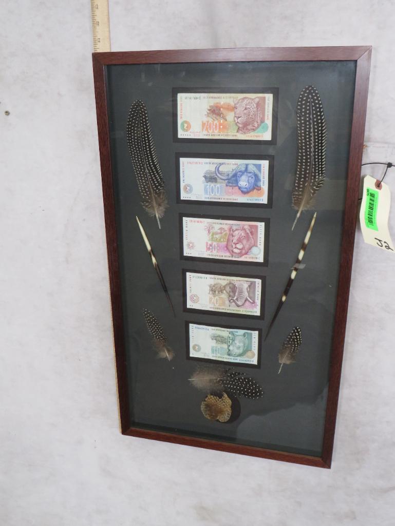 Framed South African Currency: TAXIDERMY