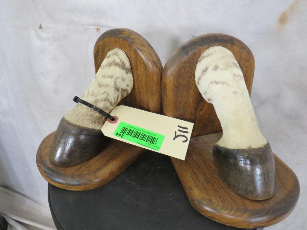 Zebra Hoof Book Ends (ONE$) TAXIDERMY: TAXIDERMY