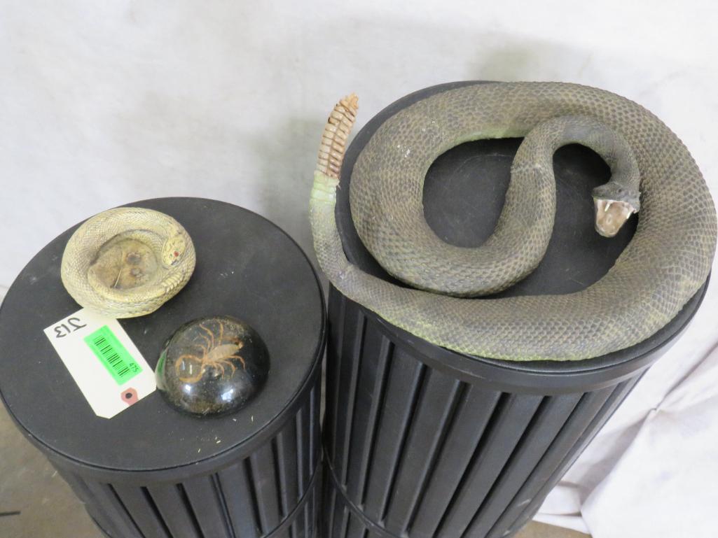 Rubber Snake w/Real Rattle, Scorpion Paper Weight & Snake dish (ONE$) ODDITY: TAXIDERMY