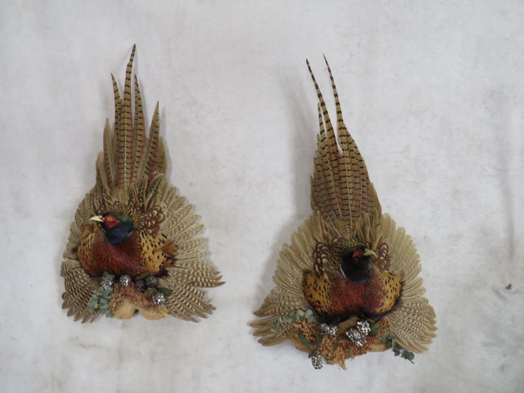 2 Pheasant Wall Mounts (2x$) TAXIDERMY: TAXIDERMY
