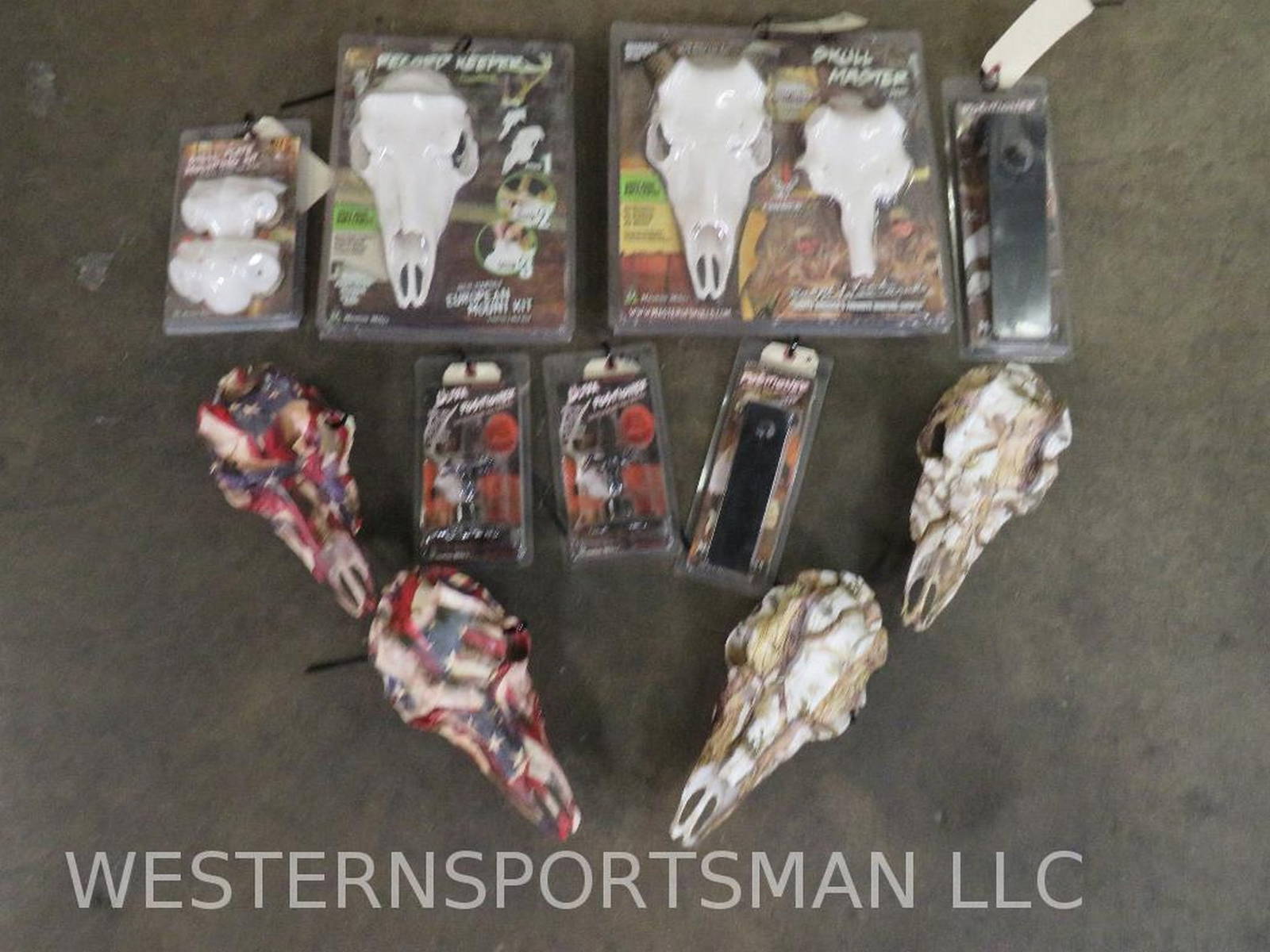 Diy Taxidermy Kits & Items (one) Taxidermy Auction