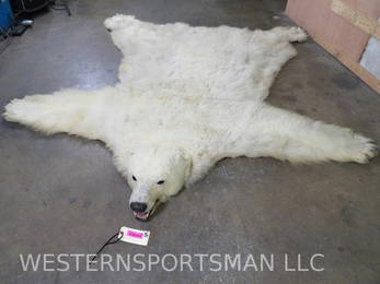 Polar Bear Rug 7'5"Lx7'3"W TAXIDERMY