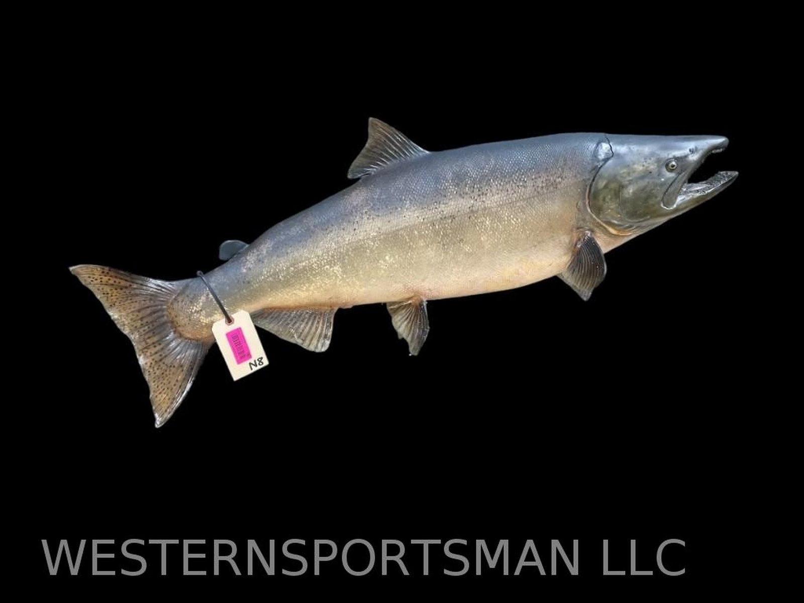 large Steelhead Salmon, real skin fish mount , 41 inches long x 12 inches wide. Awesome, man cave ta (1 of 3)