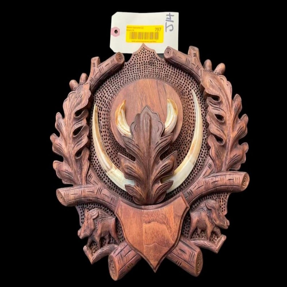 Beautiful, carved Black Forest Wild Boar display, 12 inches long, & 11 inches wide.. big Tusks Aweso (1 of 4)