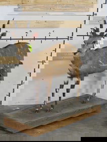 Lifesize Bushbuck on Base TAXIDERMY