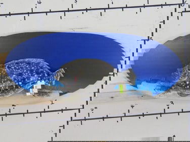 Big Flounder on Cool Water Scene Plaque w/2 Crabs TAXIDERMY