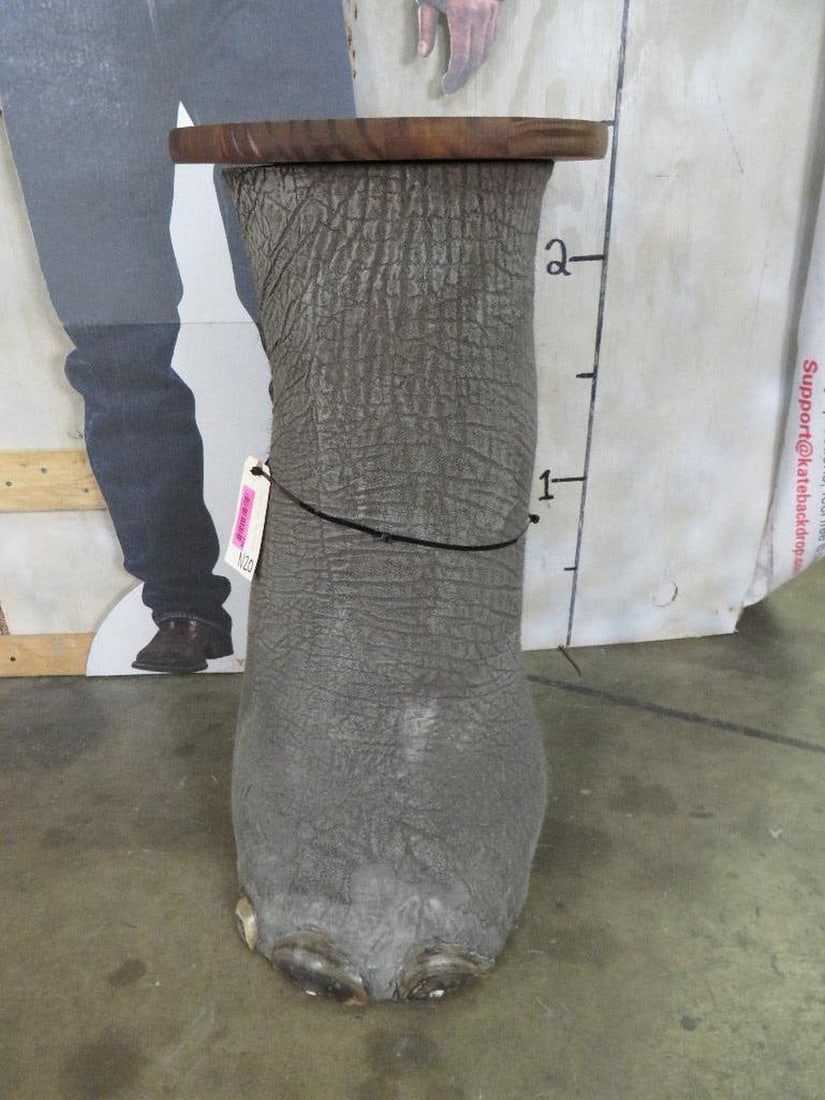 LG Elephant Leg Stool TAXIDERMY (1 of 7)