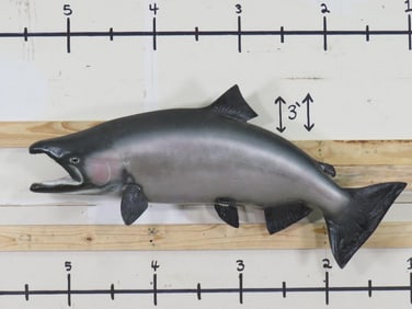 Big Reproduction Salmon Fish Mt TAXIDERMY