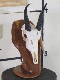 Reedbuck Skull on Plaque TAXIDERMY