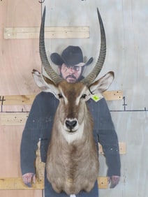 Waterbuck Sh Mt TAXIDERMY