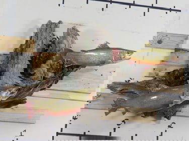 Very Nice Reproduction Brook Trout Fish on Natural Wood TAXIDERMY