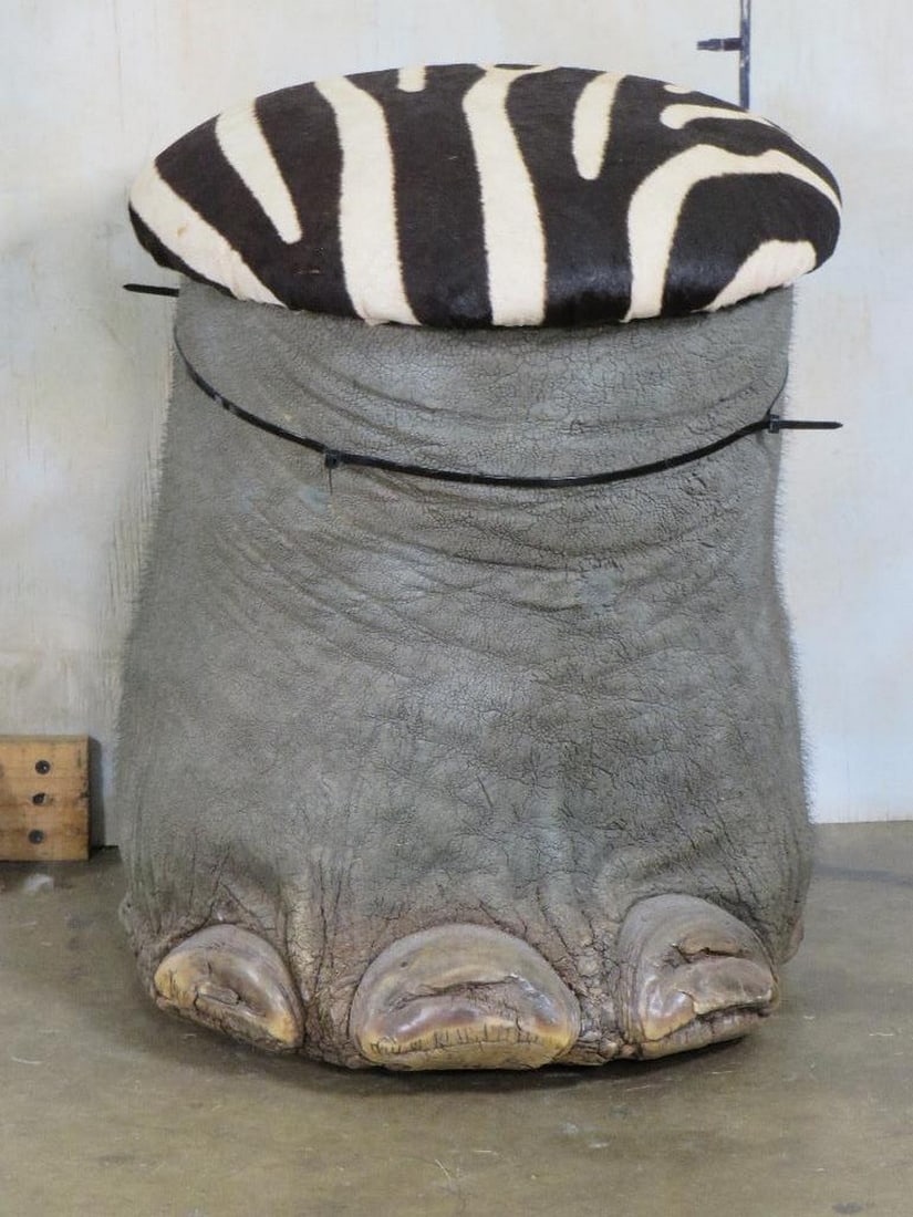 Very Nice Elephant Foot Stool w/Zebra Hide Top TAXIDERMY (1 of 7)