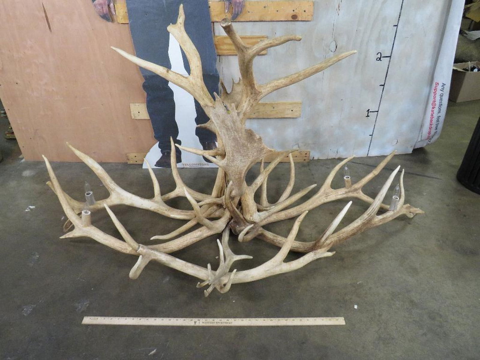 Very Nice Elk Antler Chandelier w/4 Bulbs TAXIDERMY (1 of 9)