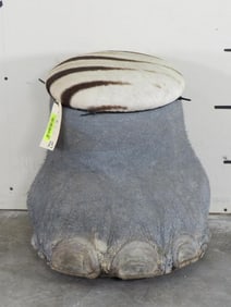 Elephant Foot Stool w/Zebra Hide Cushion TAXIDERMY
