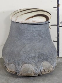 Elephant Foot Stool w/Zebra Hide Cushion TAXIDERMY