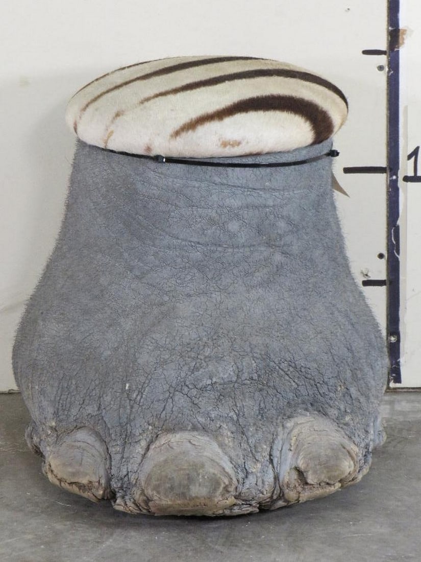 Elephant Foot Stool w/Zebra Hide Cushion TAXIDERMY (1 of 10)