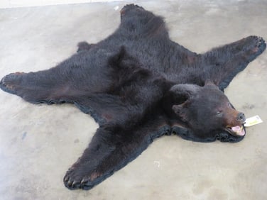 Very Nice Felted Big Black Bear Rug w/All Claws TAXIDERMY