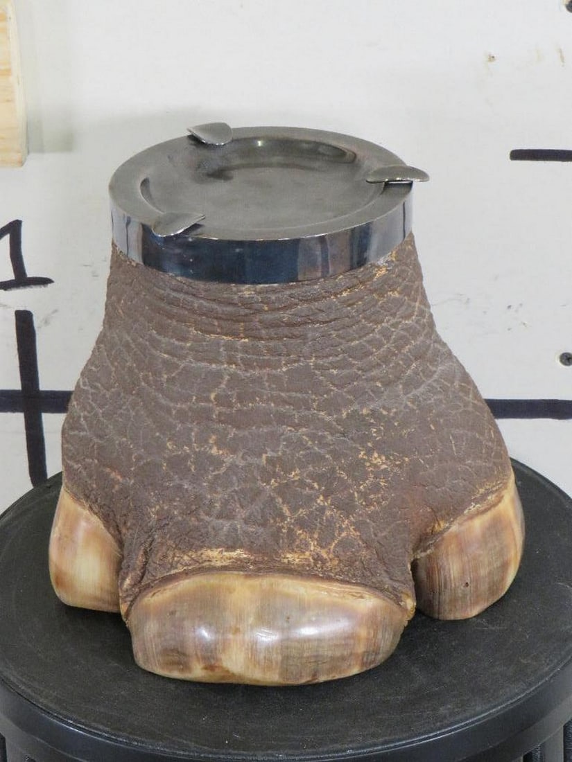 RARE Rhino Foot Ashtray *TX RES ONLY* TAXIDERMY ODDITIES&CURIOSITIES (1 of 8)