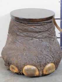 Very Nice Elephant Foot Storage Canister w/Hinged Wood Lid TAXIDERMY