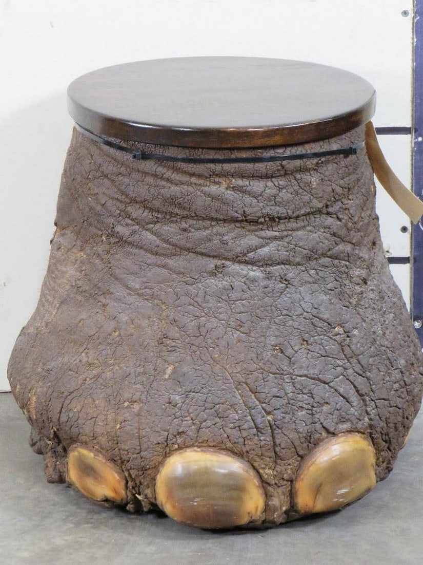 Very Nice Elephant Foot Storage Canister w/Hinged Wood Lid TAXIDERMY (1 of 8)