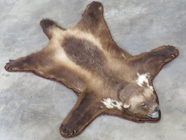 Felted Wolverine Rug w/Mounted Head TAXIDERMY
