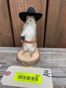 Cowboy, Chipmunk, 6 1/2 inches tall, Texas cowboy hat, pistol, & holster NEW taxidermy great log cab