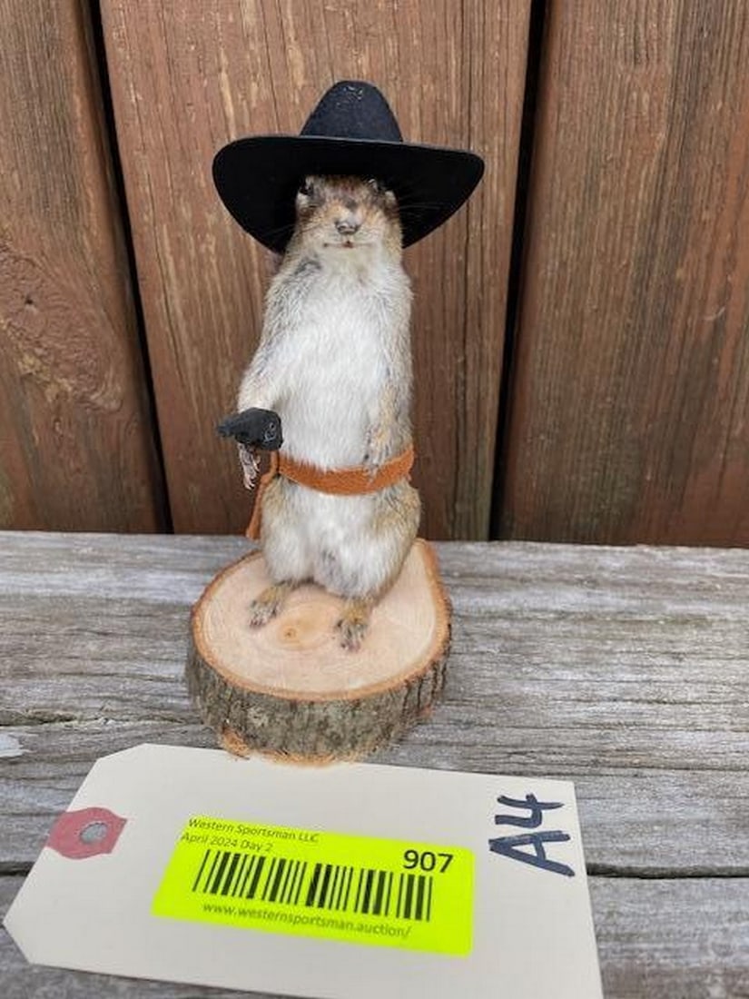 Cowboy, Chipmunk, 6 1/2 inches tall, Texas cowboy hat, pistol, & holster NEW taxidermy great log cab: Cowboy, Chipmunk, 6 1/2 inches tall, Texas cowboy hat, pistol, & holster NEW taxidermy great log cabin decor
